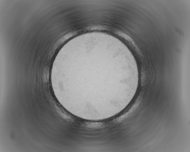 X0000112870833200910021331