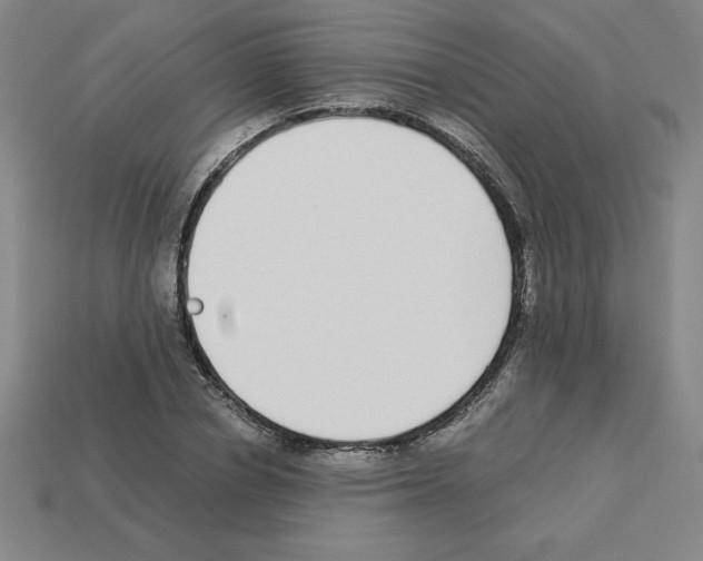 X0000112870834200910021331