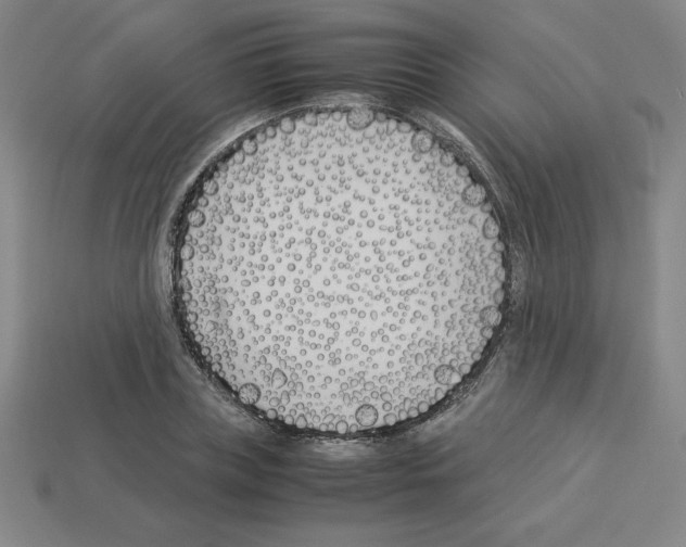 X0000112870835200910021331