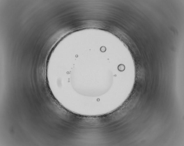 X0000112870836200910021331