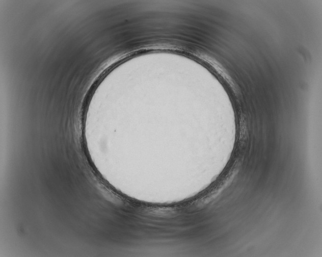 X0000112870837200910021331