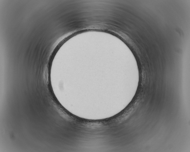 X0000112870838200910021331