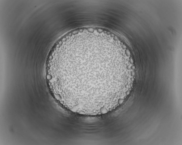 X0000112870839200910021331