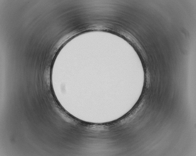 X0000112870842200910021331