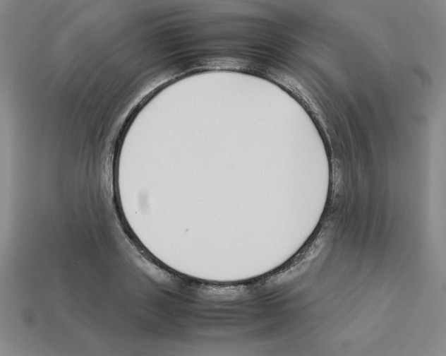 X0000112870843200910021331