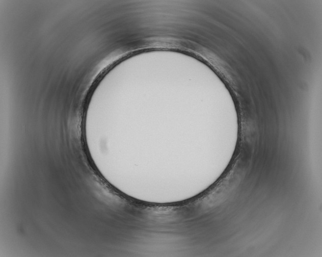 X0000112870846200910021331