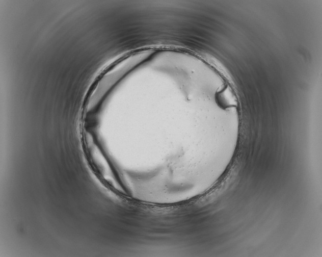 X0000112870847200910021331