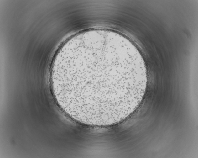 X0000112870848200910021331