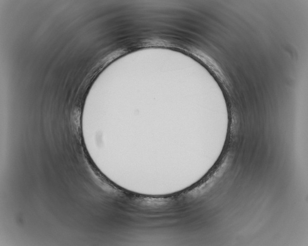 X0000112870849200910021331