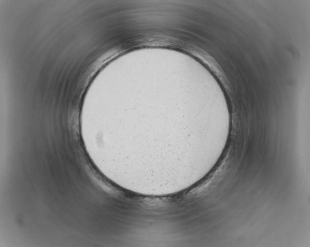 X0000112870850200910021331