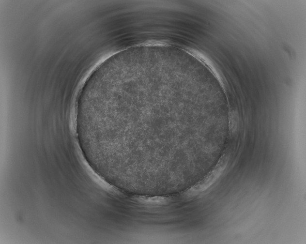 X0000112870851200910021331