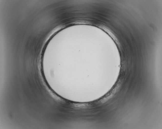 X0000112870853200910021331