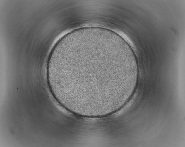 X0000112870854200910021331