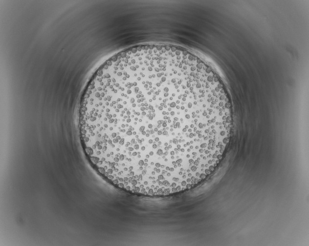 X0000112870855200910021331