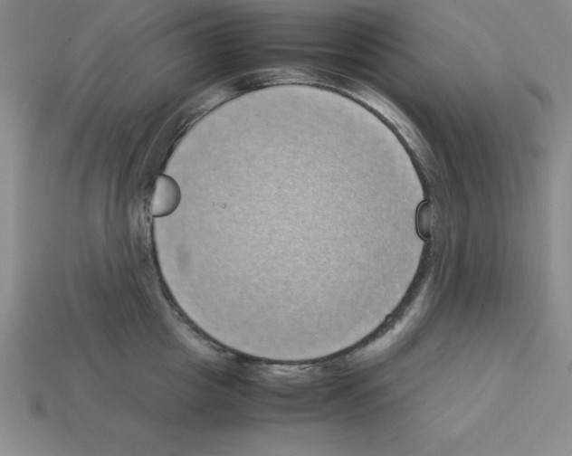 X0000112870857200910021331