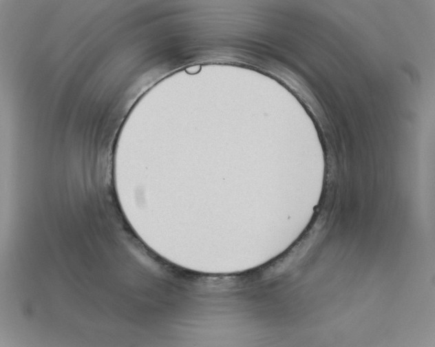 X0000112870858200910021331