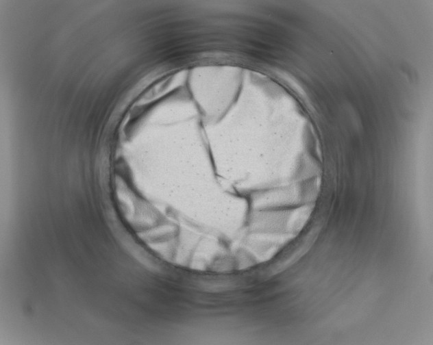 X0000112870859200910021331