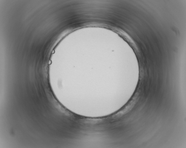 X0000112870860200910021331