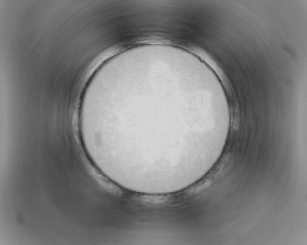 X0000112870861200910021331