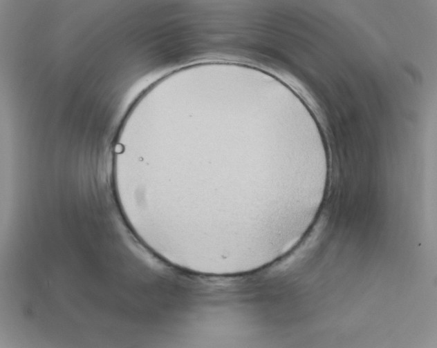 X0000112870862200910021331