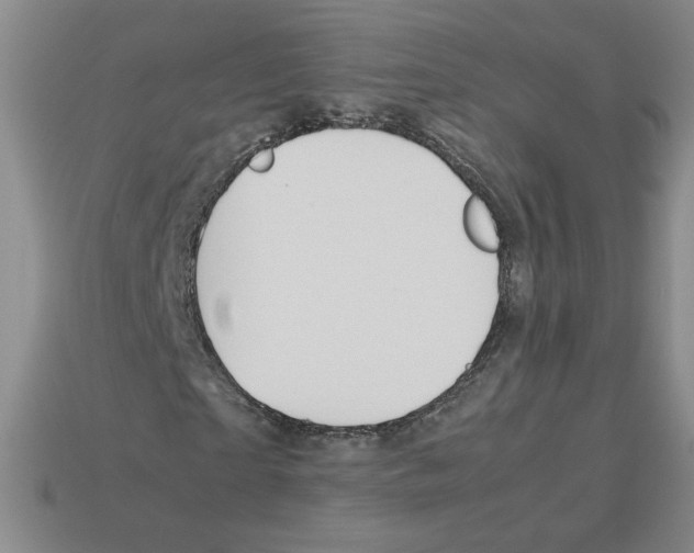 X0000112870865200910021330