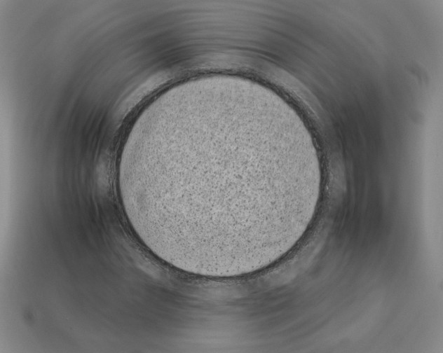 X0000112870874200910021330