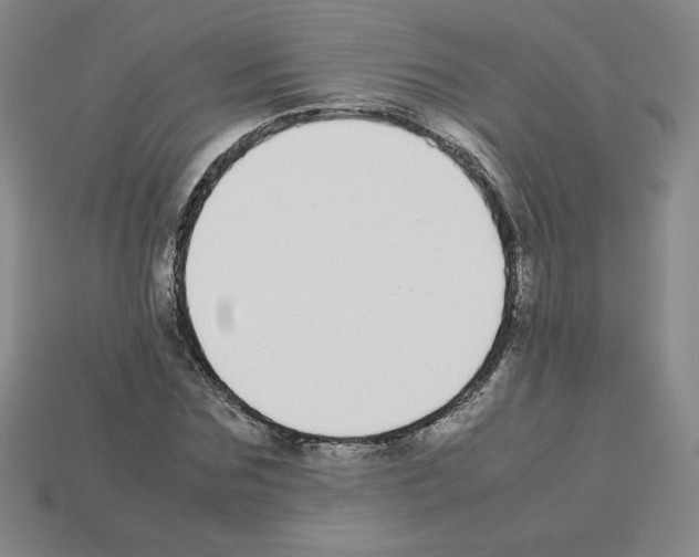 X0000112870875200910021330