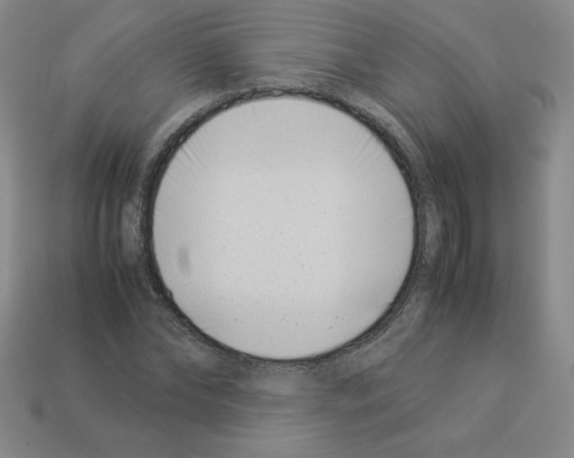 X0000112870878200910021330