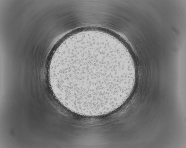 X0000112870879200910021330