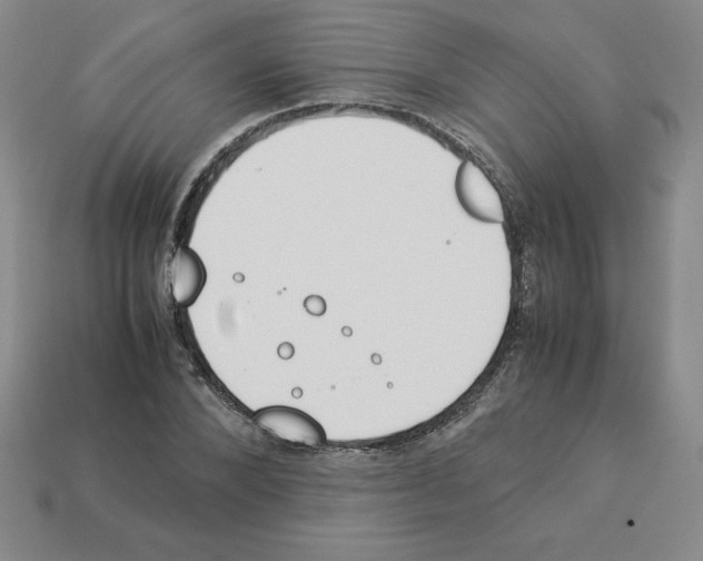 X0000112870880200910021330