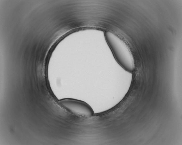 X0000112870884200910021330