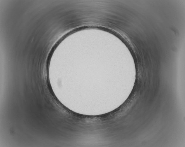 X0000112870887200910021330