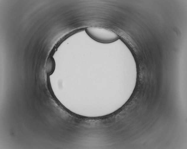 X0000112870888200910021330