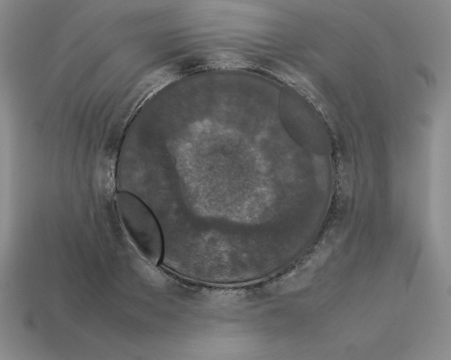 X0000112870889200910021330