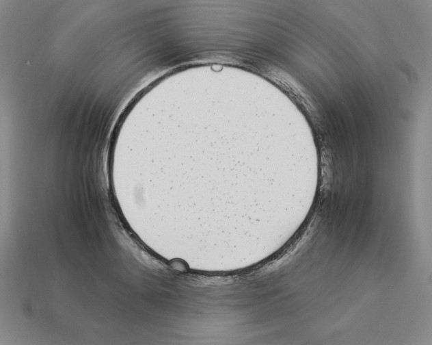 X0000112870892200910021330