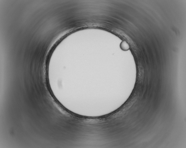 X0000112870894200910021330