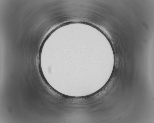 X0000112870895200910021330