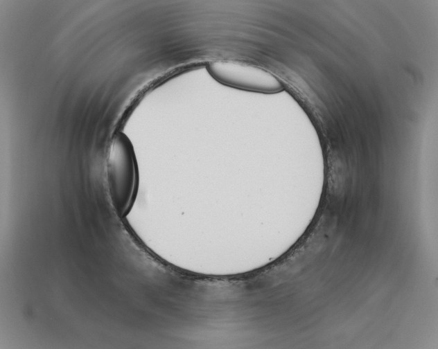 X0000112870896200910021330