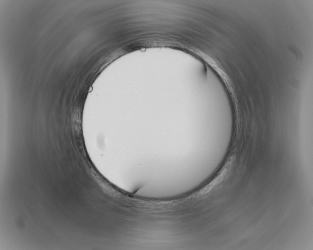 X0000112870897200910021330