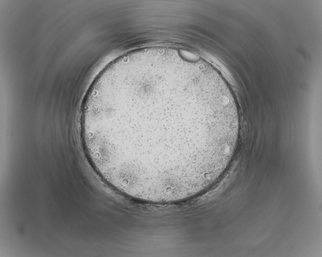 X0000112870899200910021330