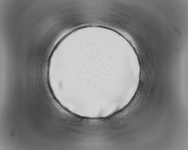 X0000112870903200910021330