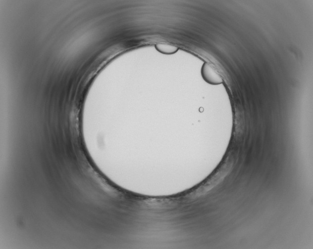 X0000112870906200910021330