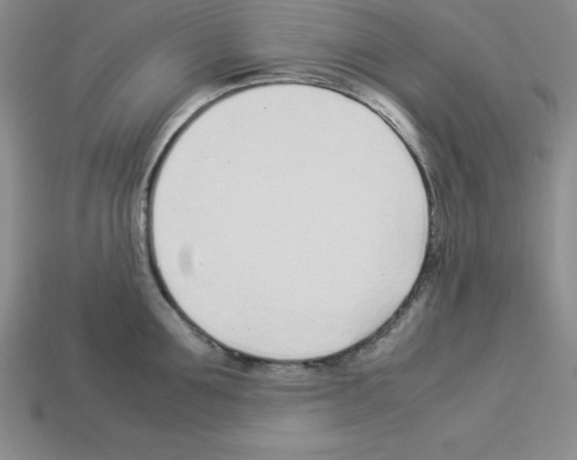 X0000112870907200910021330