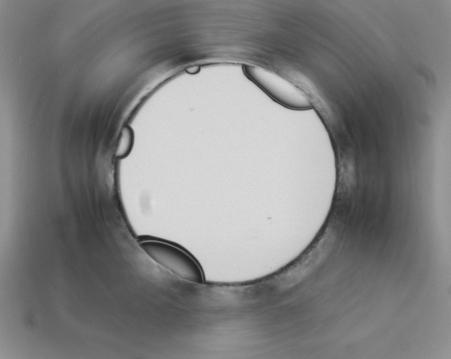 X0000112870908200910021330