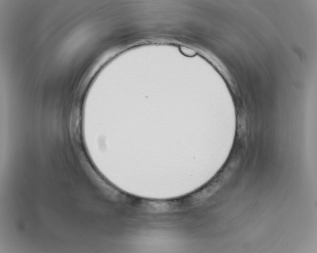 X0000112870911200910021330