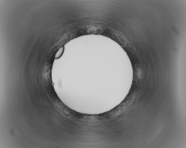 X0000112870914200910021329