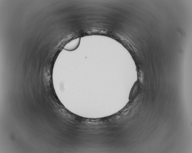 X0000112870915200910021329