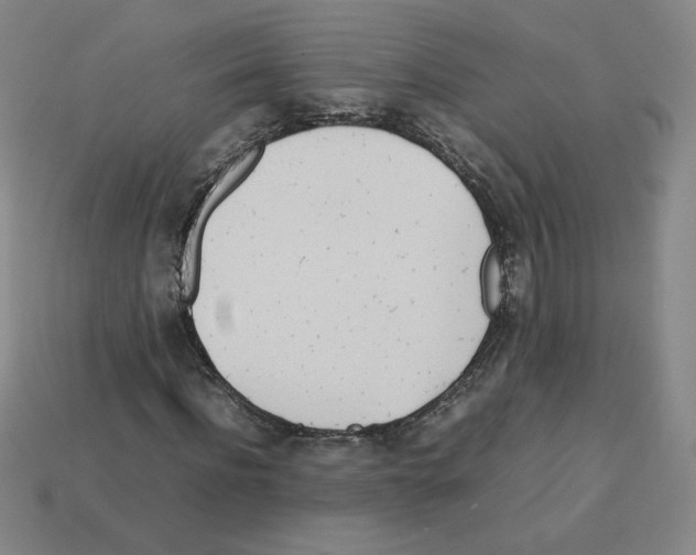 X0000112870916200910021329