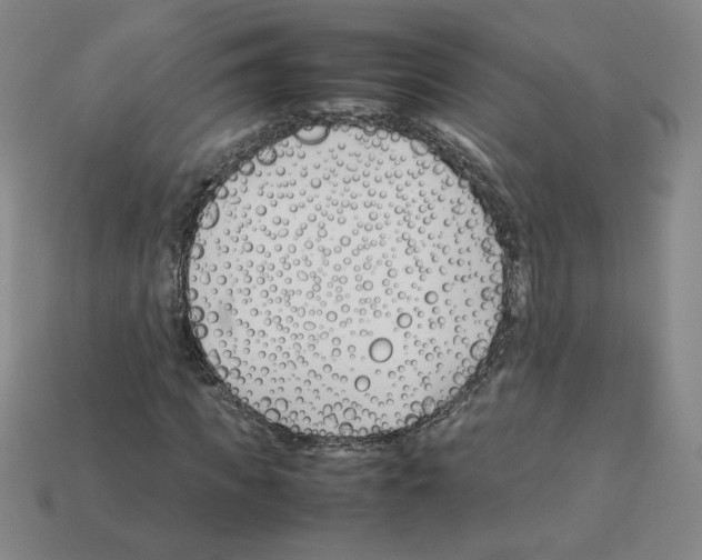 X0000112870917200910021329