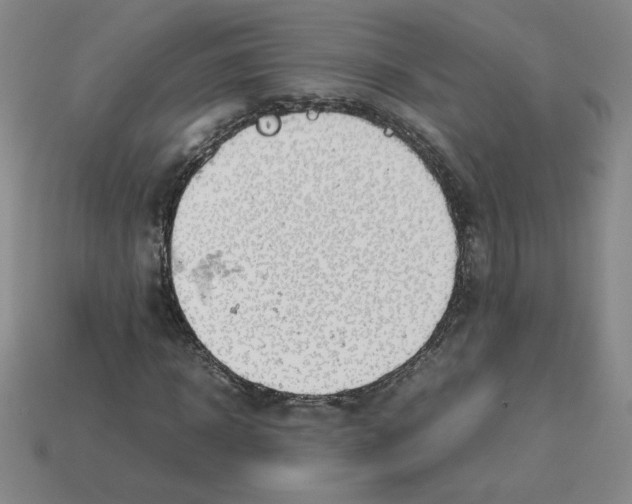 X0000112870918200910021329